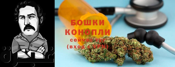 мет Ельня
