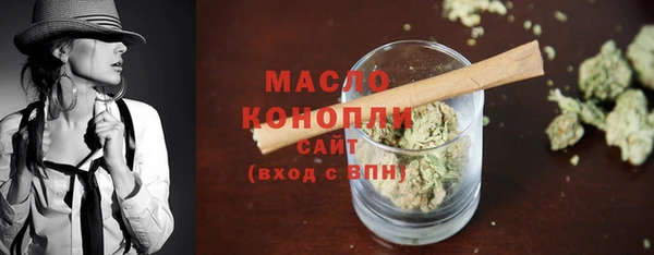 мет Ельня