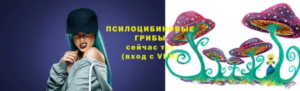 марки lsd Елабуга
