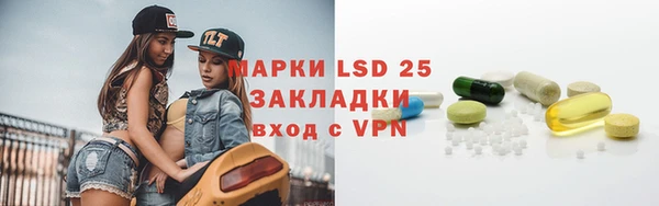 винт Елизово