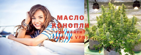 мет Ельня