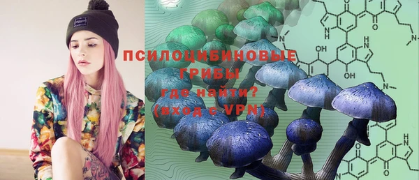 марки lsd Елабуга