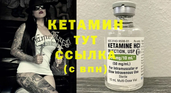 мет Ельня